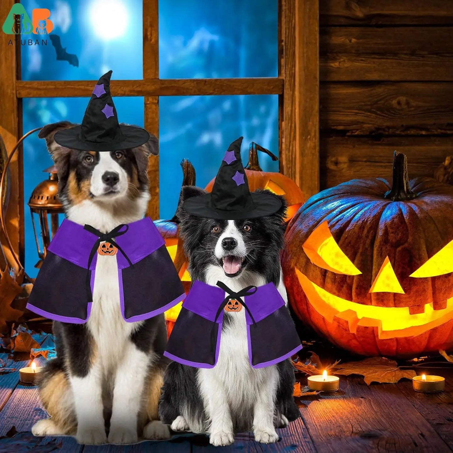 Disfraces de Halloween para perros, disfraz de bruja para perros, capa de bruja para perros, sombrero de mago, disfraces de Halloween para perros y mascotas