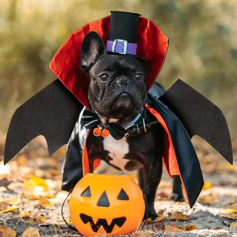 Ropa de Halloween para gatos y mascotas, disfraz divertido para perros, alas de murciélago artificiales con cascabeles, accesorio de cosplay para cachorros, ropa personalizada, suministros para mascotas