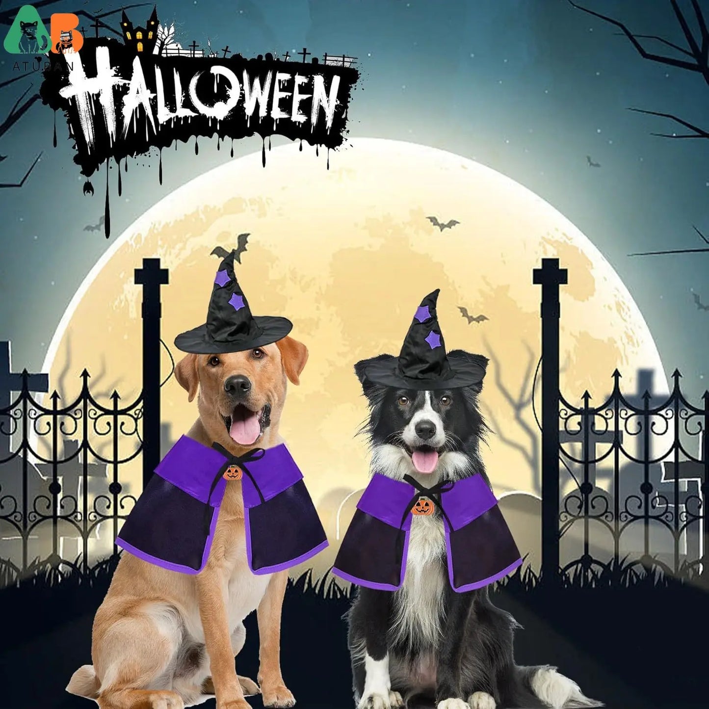 Disfraces de Halloween para perros, disfraz de bruja para perros, capa de bruja para perros, sombrero de mago, disfraces de Halloween para perros y mascotas