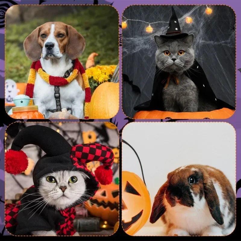 Ropa de Halloween para gatos y mascotas, disfraz divertido para perros, alas de murciélago artificiales con cascabeles, accesorio de cosplay para cachorros, ropa personalizada, suministros para mascotas