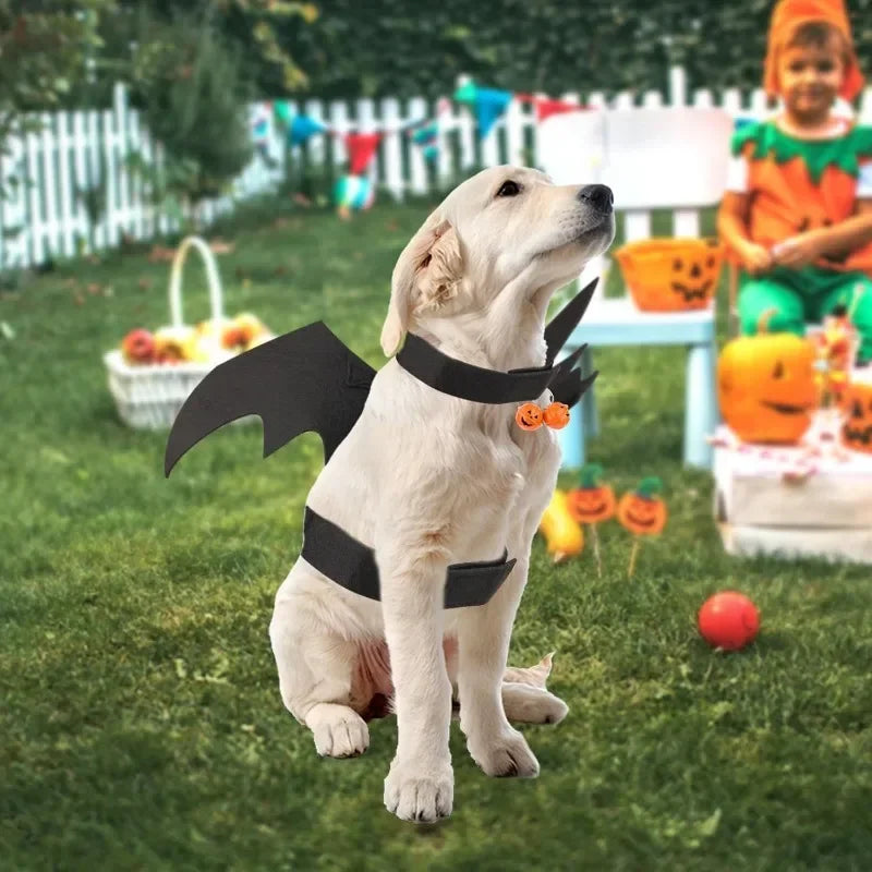 Ropa de Halloween para gatos y mascotas, disfraz divertido para perros, alas de murciélago artificiales con cascabeles, accesorio de cosplay para cachorros, ropa personalizada, suministros para mascotas